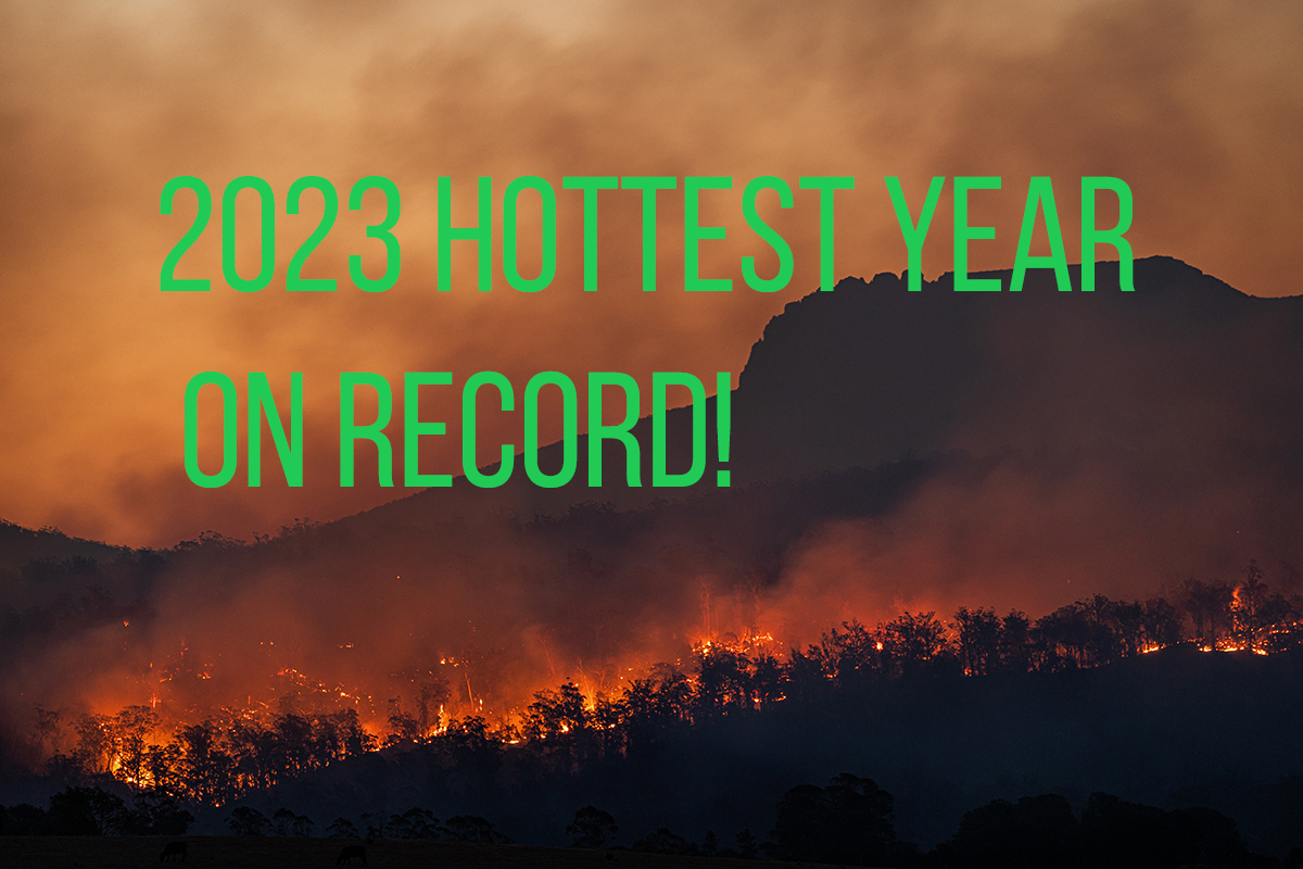 2023 was the hottest year on record text over image of forest fire in Australia